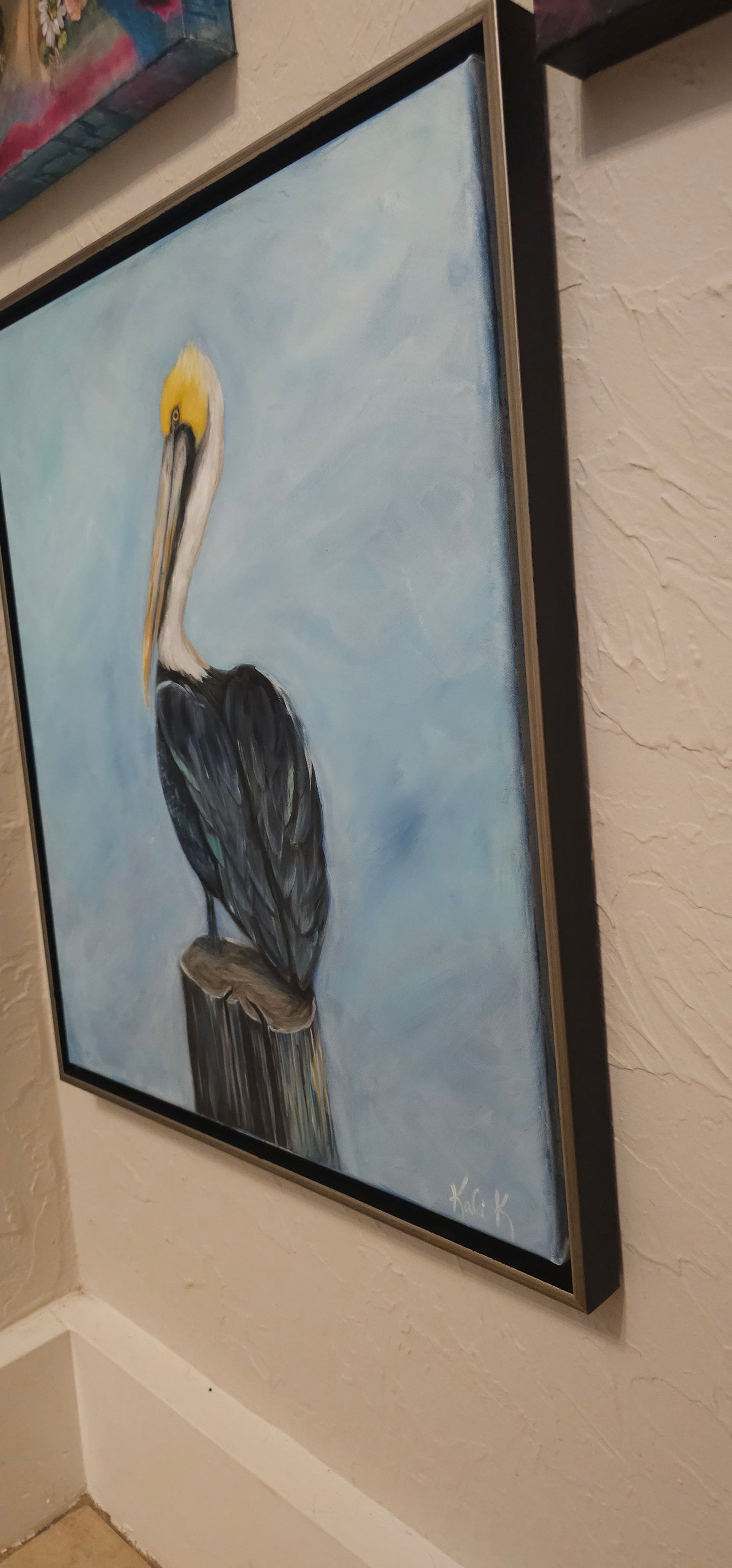 Percy the pelican